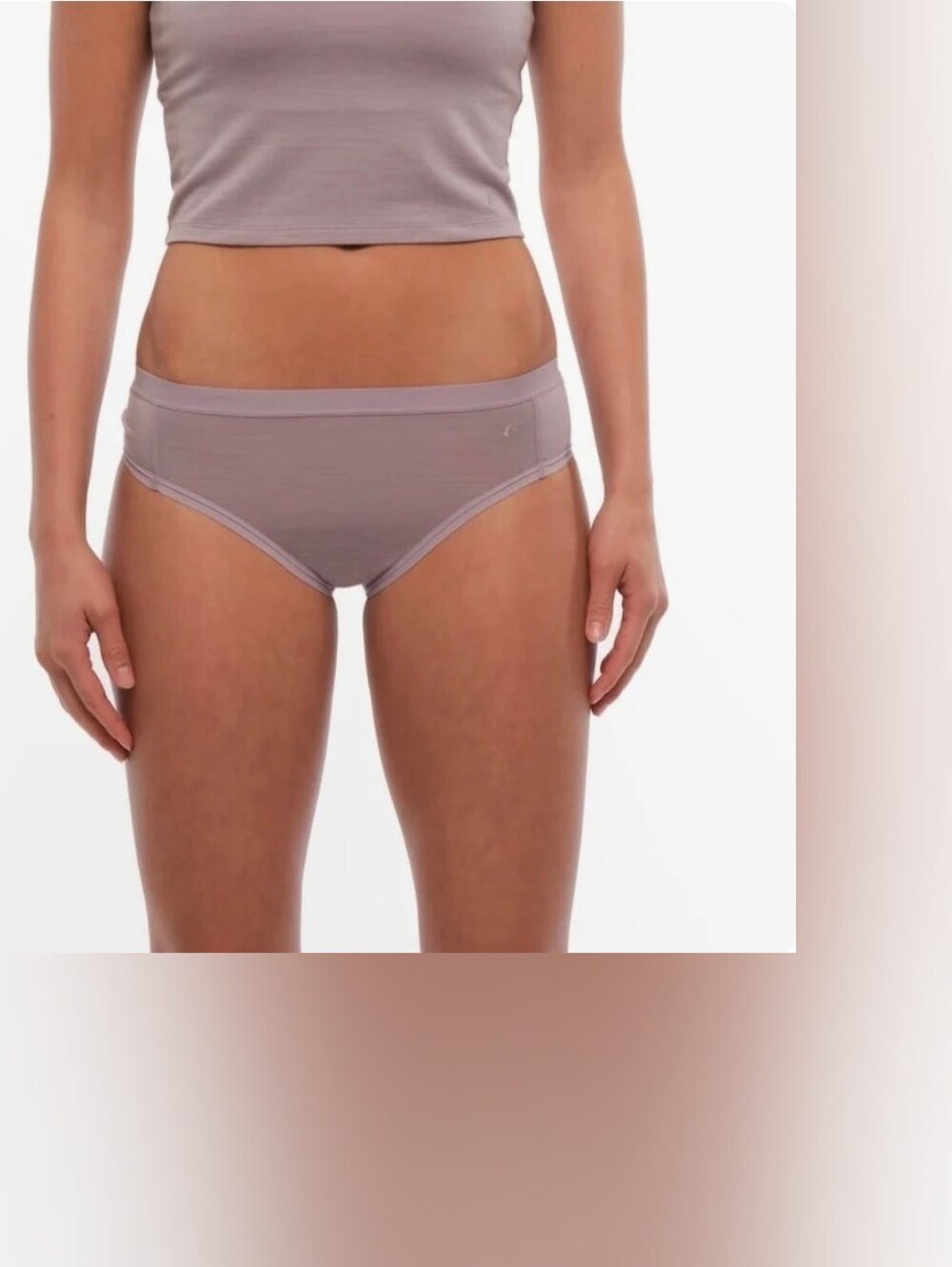 Women's Ridge Merino Wool Hipster Brief Underwear In Dusty Lilac Size Medium NWT - Picture 2 of 4